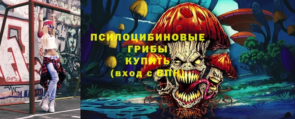 стафф Каменногорск