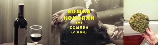 стафф Каменногорск